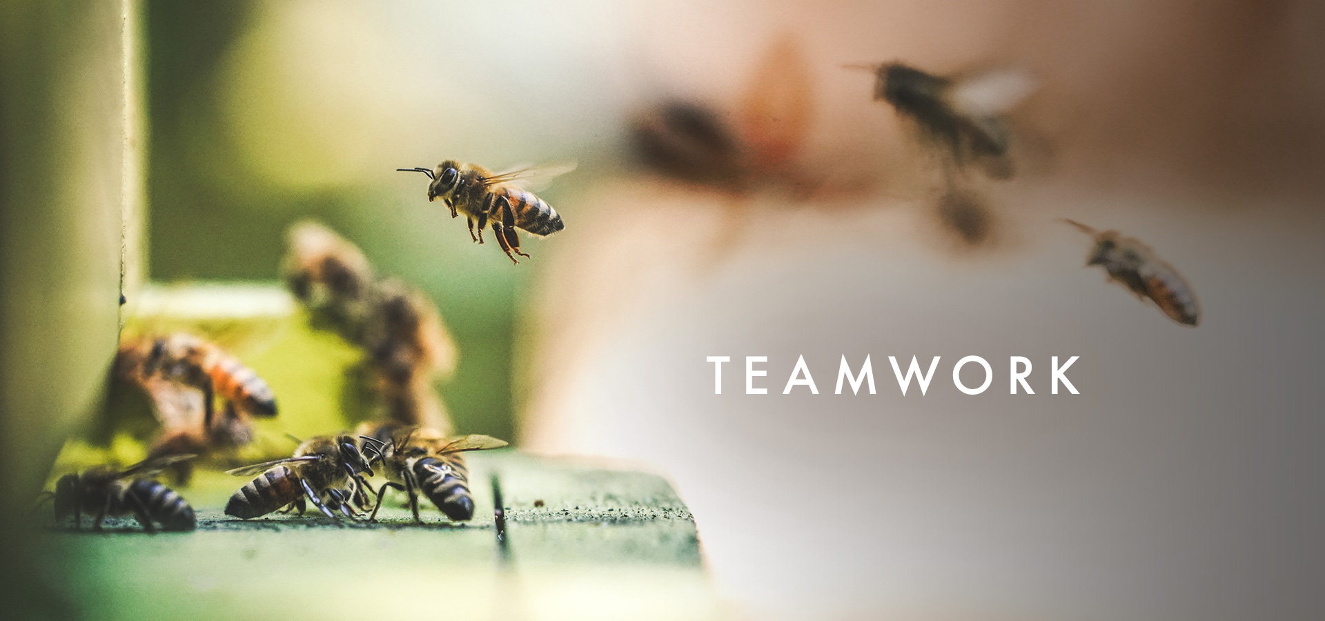 How Agile Swarming helps Team to deliver